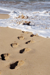 Children's footprints on the beach
