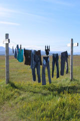 Clothes hanging to dry on the line